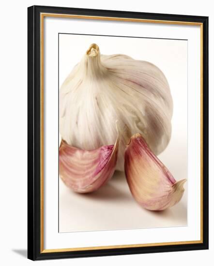 Garlic and Garlic Cloves-Joff Lee Studios-Framed Photographic Print