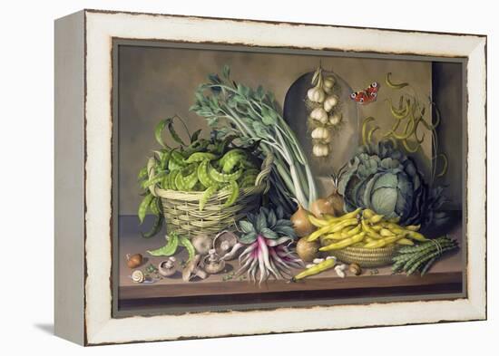 Garlic and Radishes and a Peacock Buttefly, 1997-Amelia Kleiser-Framed Premier Image Canvas