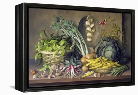 Garlic and Radishes and a Peacock Buttefly, 1997-Amelia Kleiser-Framed Premier Image Canvas