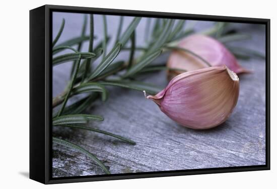 Garlic And Rosemary-Maxine Adcock-Framed Premier Image Canvas