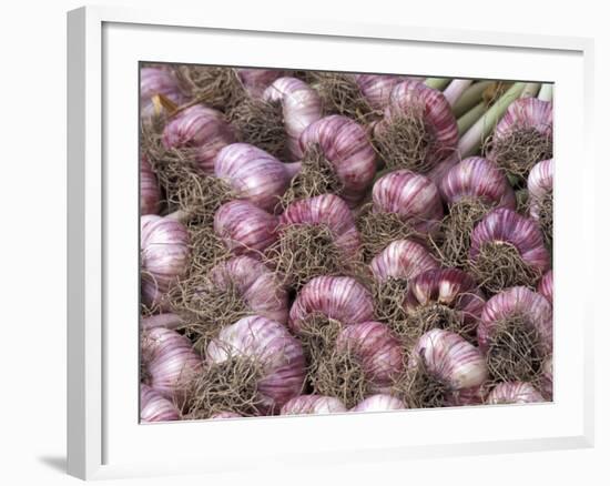 Garlic at Pike Place Market, Seattle, Washington, USA-Jamie & Judy Wild-Framed Photographic Print