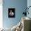 Garlic Bulb BW-Steve Gadomski-Framed Premier Image Canvas displayed on a wall