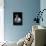 Garlic Bulb BW-Steve Gadomski-Framed Premier Image Canvas displayed on a wall