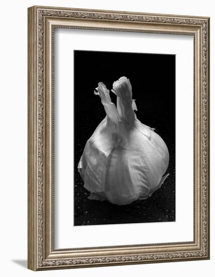 Garlic Bulb BW-Steve Gadomski-Framed Photographic Print