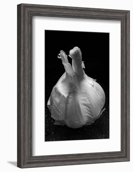 Garlic Bulb BW-Steve Gadomski-Framed Photographic Print