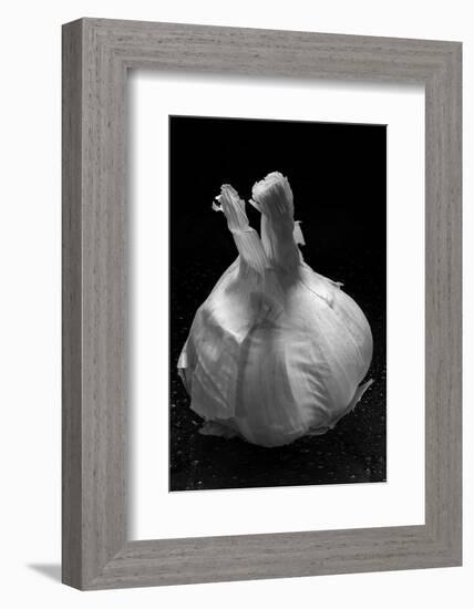 Garlic Bulb BW-Steve Gadomski-Framed Photographic Print