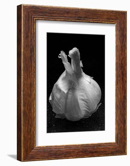 Garlic Bulb BW-Steve Gadomski-Framed Photographic Print