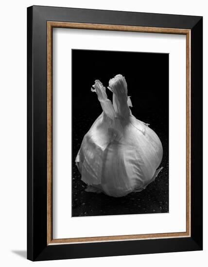 Garlic Bulb BW-Steve Gadomski-Framed Photographic Print