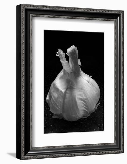 Garlic Bulb BW-Steve Gadomski-Framed Photographic Print