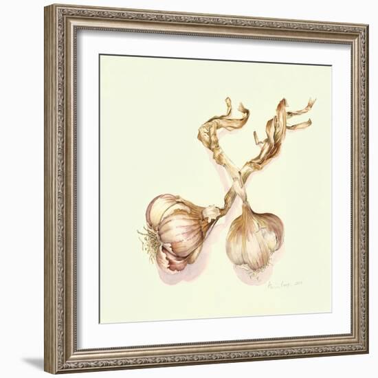 Garlic Bulbs, 2005-Alison Cooper-Framed Giclee Print