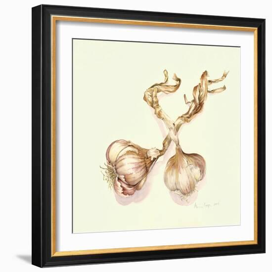 Garlic Bulbs, 2005-Alison Cooper-Framed Giclee Print