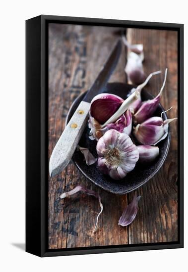 Garlic Bulbs and Cloves in a Ceramic Dish-barbaradudzinska-Framed Premier Image Canvas