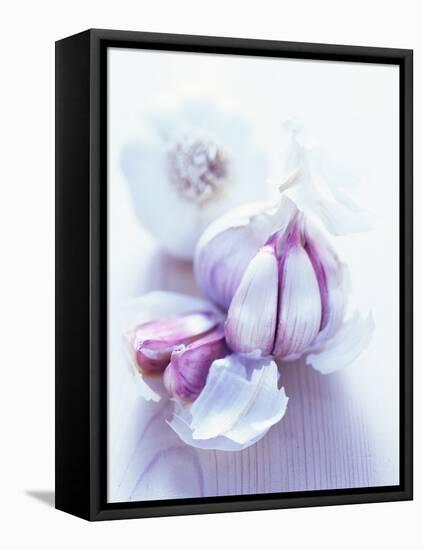 Garlic Bulbs-David Munns-Framed Premier Image Canvas