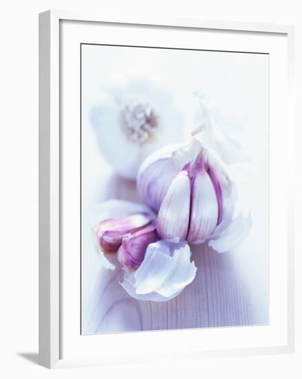 Garlic Bulbs-David Munns-Framed Photographic Print