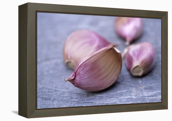 Garlic Cloves-Maxine Adcock-Framed Premier Image Canvas