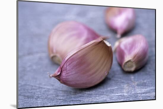 Garlic Cloves-Maxine Adcock-Mounted Photographic Print