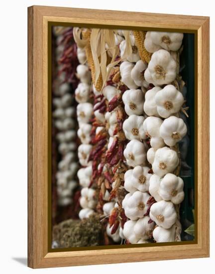 Garlic, Ischia Ponte, Ischia, Bay of Naples, Campania, Italy-Walter Bibikow-Framed Premier Image Canvas