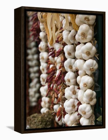 Garlic, Ischia Ponte, Ischia, Bay of Naples, Campania, Italy-Walter Bibikow-Framed Premier Image Canvas