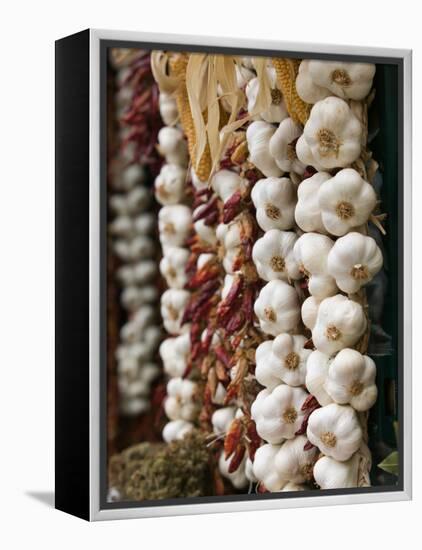 Garlic, Ischia Ponte, Ischia, Bay of Naples, Campania, Italy-Walter Bibikow-Framed Premier Image Canvas