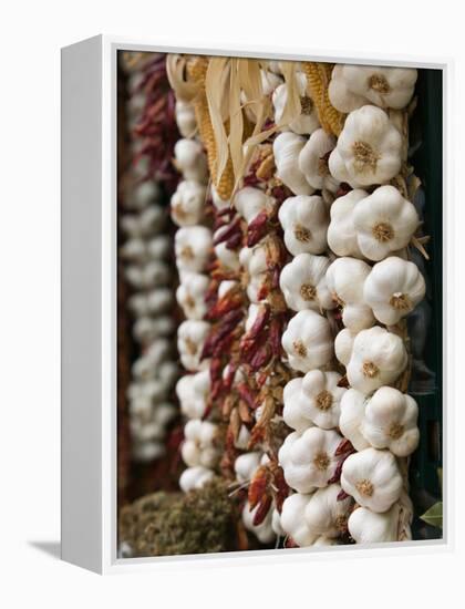 Garlic, Ischia Ponte, Ischia, Bay of Naples, Campania, Italy-Walter Bibikow-Framed Premier Image Canvas