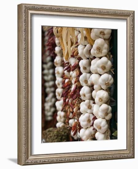 Garlic, Ischia Ponte, Ischia, Bay of Naples, Campania, Italy-Walter Bibikow-Framed Photographic Print