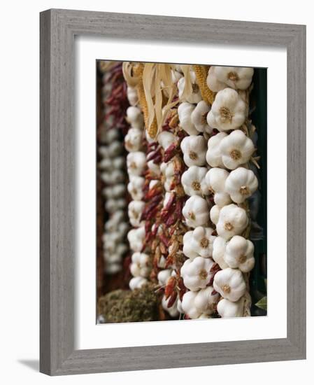 Garlic, Ischia Ponte, Ischia, Bay of Naples, Campania, Italy-Walter Bibikow-Framed Photographic Print