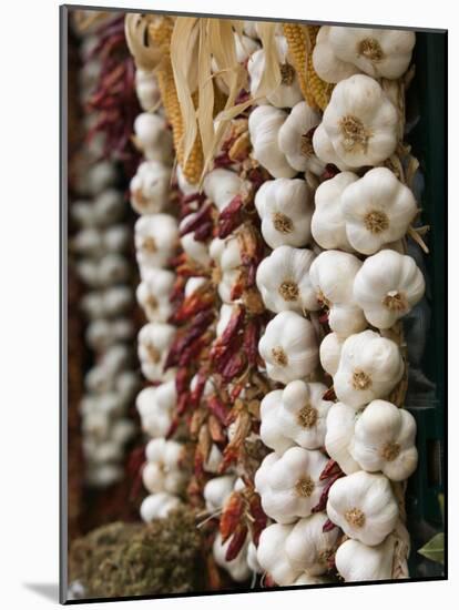 Garlic, Ischia Ponte, Ischia, Bay of Naples, Campania, Italy-Walter Bibikow-Mounted Photographic Print