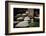 Garlic Market-Valda Bailey-Framed Photographic Print