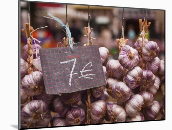 Garlic on Sale at a Market in Tours, Indre-Et-Loire, Centre, France, Europe-Julian Elliott-Mounted Photographic Print