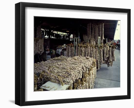 Garlic Strings at the French Quarter Market-Carol Highsmith-Framed Photo