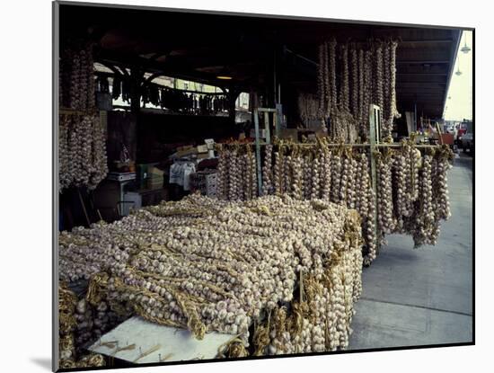 Garlic Strings at the French Quarter Market-Carol Highsmith-Mounted Photo