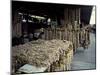 Garlic Strings at the French Quarter Market-Carol Highsmith-Mounted Photo