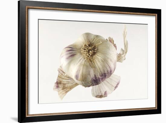 Garlic-null-Framed Photographic Print