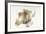 Garlic-null-Framed Photographic Print