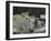 Garnet Ghost Town, Montana, USA-null-Framed Photographic Print