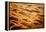 Garnet Sand Dunes II-Howard Ruby-Framed Premier Image Canvas