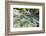 Garnitzenklamm Near Hermagor, Carinthia, Austria-Rainer Mirau-Framed Photographic Print