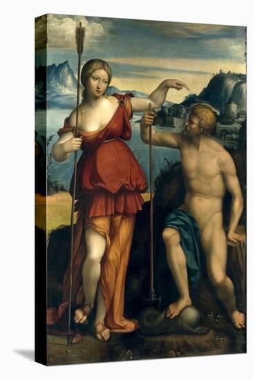 Stretched Canvas Print, , large
