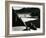 Garrapata Beach, California, 1954-Brett Weston-Framed Photographic Print