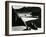 Garrapata Beach, California, 1954-Brett Weston-Framed Photographic Print