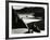 Garrapata Beach, California, 1954-Brett Weston-Framed Photographic Print