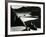 Garrapata Beach, California, 1954-Brett Weston-Framed Photographic Print