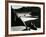 Garrapata Beach, California, 1954-Brett Weston-Framed Photographic Print