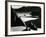 Garrapata Beach, California, 1954-Brett Weston-Framed Photographic Print