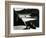 Garrapata Beach, California, 1954-Brett Weston-Framed Photographic Print