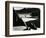 Garrapata Beach, California, 1954-Brett Weston-Framed Photographic Print