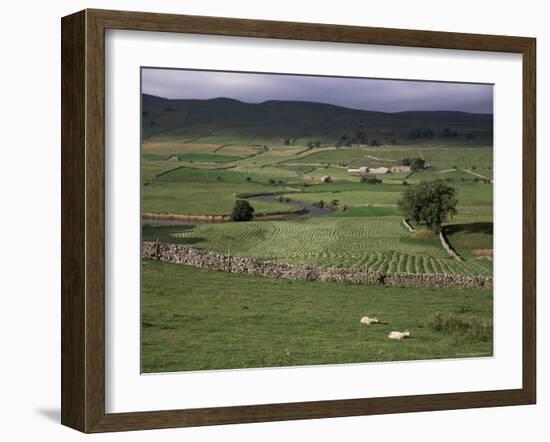 Garsdale, Yorkshire, England, United Kingdom-Michael Short-Framed Photographic Print