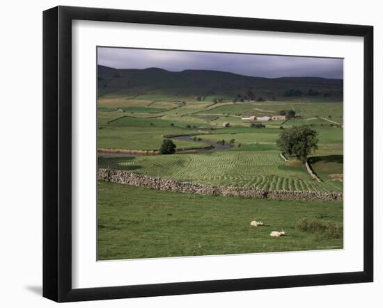 Garsdale, Yorkshire, England, United Kingdom-Michael Short-Framed Photographic Print