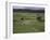 Garsdale, Yorkshire, England, United Kingdom-Michael Short-Framed Photographic Print