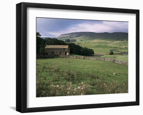 Garsdale, Yorkshire, England, United Kingdom-Michael Short-Framed Photographic Print